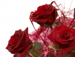 Bouque of Red Roses