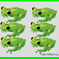 SIX FROGS