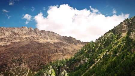 one mountain brown, one mountain green - forest, mountains, bare, rocks, clouds