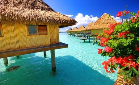 French Polynesia - nice, hut, sky, water, clear, hotel, vacation, polynesia, crystal, pretty, clouds, holiday, sunny, relax, travel, bush, lovely, nature, blue, beautiful, rest, flowers, pool