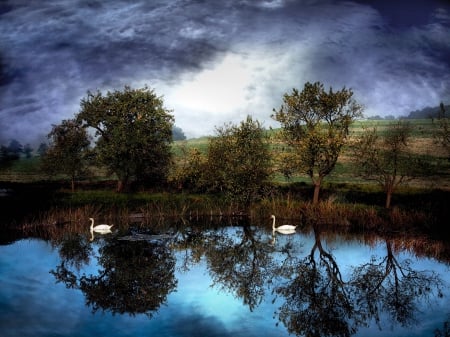 Mystic Lake - reflections, storm, clouds, trees, swans, hdr, darness