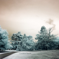 lovely park on a frosty morning