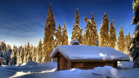 lovely log cabin in winter - logs, winter, forest, cabin