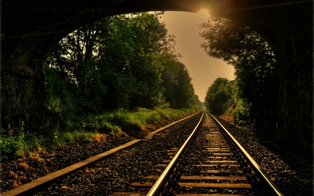 Railway - railway, gate, sunset, forest