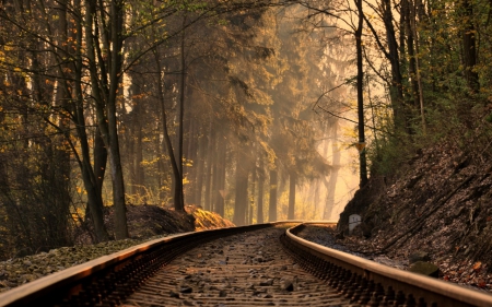 Railway - railway, old, forest, sunset