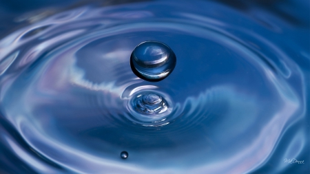 Water Drop - aqua, drop, water, blue, droplets, ripples, reflection