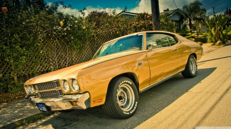 Chevrolet-Chevelle-Ss - Chevelle, Ss, Chevrolet, car