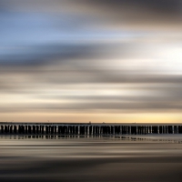Sea Soft