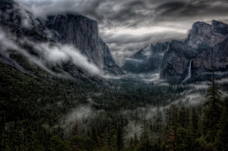 CLEARING STORM - FOREST, MOUNTAINS, CLOUDS, FOG, STORM, TREES