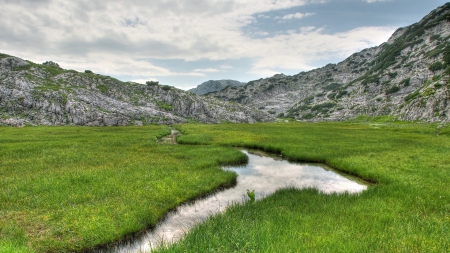 stream in a grass meadow - stream, mountains, rocks, meadow, grass