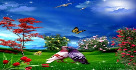 Spring Love - butterflies, roses, spring, love, birds