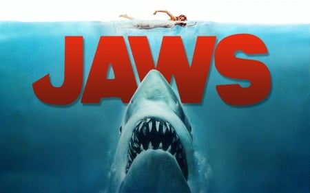 JAWS - horror, great white, shark, movie