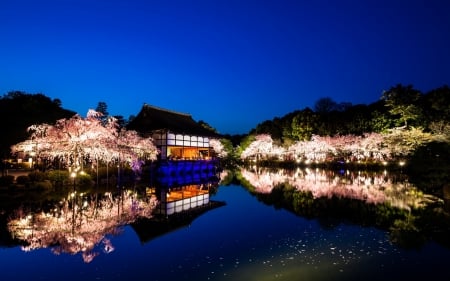 Heian Shrine Kyoto - water, shrine, heian, kyoto, night