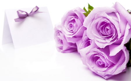 Lavender Roses for You - pink roses, nature, mauve roses, roses, blue roses, flowers