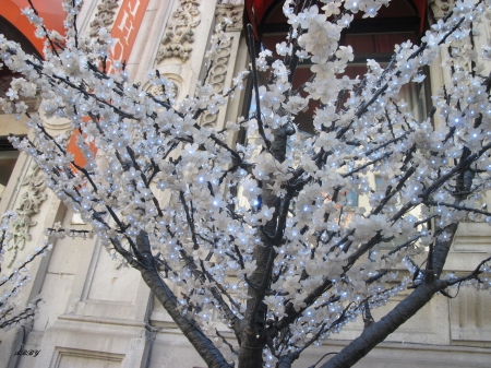 Tree light in Ottawa - white, decor, light, photography, tree