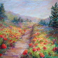 Field of poppies