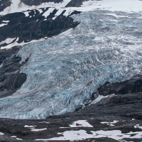 Lyell Icefield Glacier