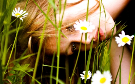 HIDDEN BEAUTY - field, flowers, girl, grass