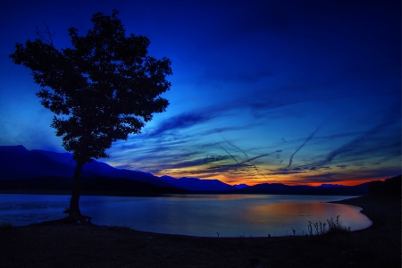 Evening at Lake - sky, panorama, water, dark, tree, sunset, colors