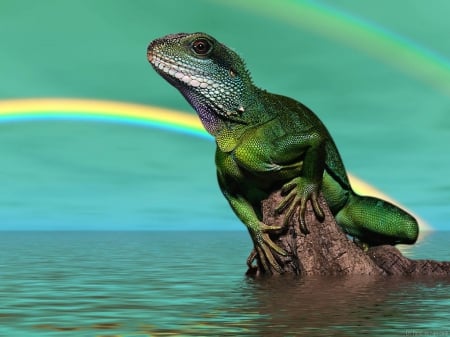 WATER LIZARD - water, rainbow, wallpaper, lizard