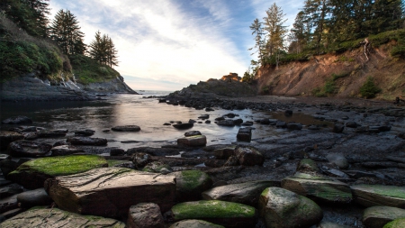 moss covered rocks in a sea cove - cove, moss, rocks, trees, sea