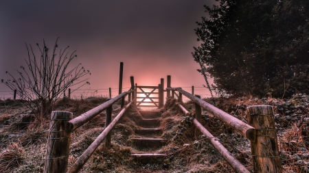 stairway to magenta heaven - gate, rails, magenta, steps, sun