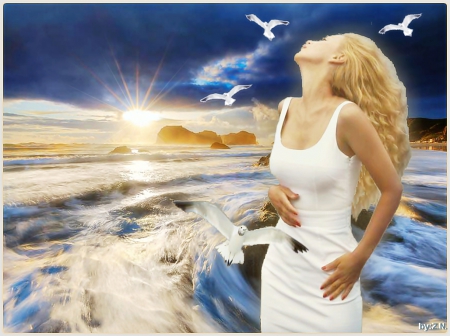 woman and sea at sunrise - sea, sunrise, woman, gulls