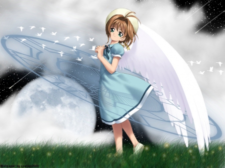 Wings - Cute, Girl, Kinomoto, Wings, Sakura