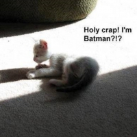 I'm Batman???