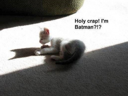 I'm Batman??? - secret identity, this is way cool, kitty in the sunshine, no one told me this