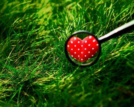 Heart - polka dots, grass, heart, red