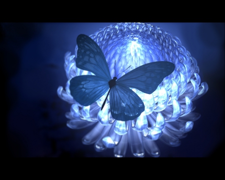 Butterfly - nice, realistic, object, beauty, darkness, elegant, gorgeous, pretty, dark, light, lovely, cg, glow, hd, abstract, butterfly, floral, 3d, blue, beautiful, blossom, sweet, flower