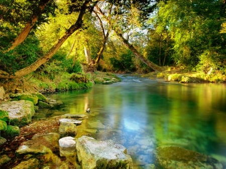 Reflections - calm, quiet, reflections, summer, tranquil, forest, light, shore, lake, golden, woods, sunlight, trees, pond, stones, glow, nature, rays, serenity, rocks, shine