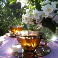 Jasmine flowers and tea