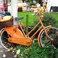 pumpkin bicycle