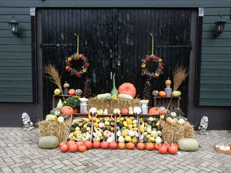 It's almost halloween - fall, herfst, pumpkins, autumn, halloween