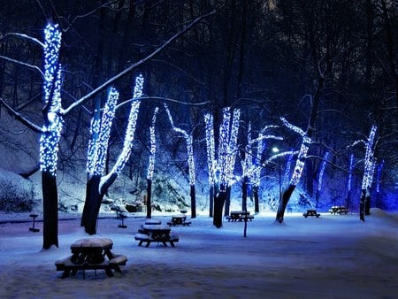 night lights - snow, nature, lights