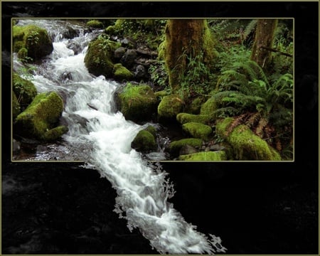 Mountain stream - forests, framed