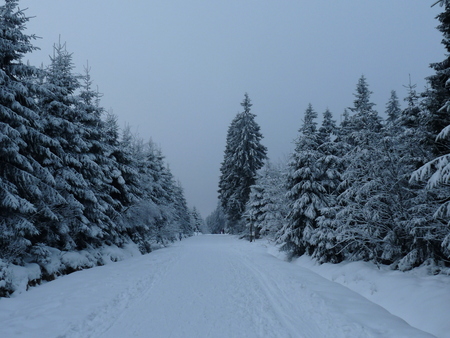 Winter scenery  - ardennen, winter, snow, berg, mountain, sneeuw