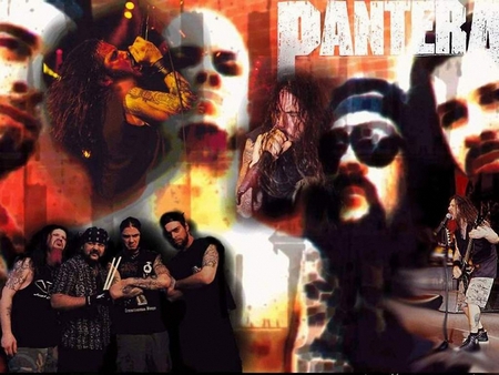 Pantera - music, metal, bands, pantera, artist