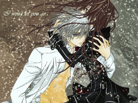 Vampire Knight - vampire, vampire knight, knight