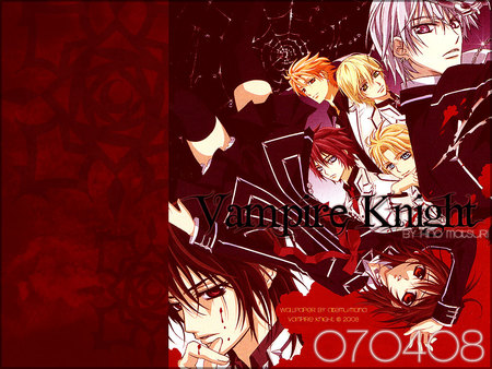 Vampire Knight - vampire, vampire knight, knight