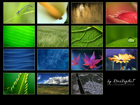 Multi Wallpaper - abstract, photography, blue, green, multi, flower