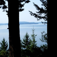 Chuckanut Drive Twins