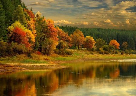 Golden River - river, nature