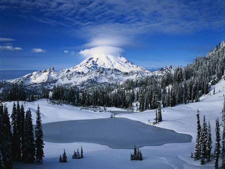 Blue Mountain - nature, mountain