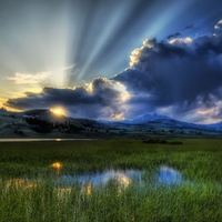 A soft summer night in the marsh