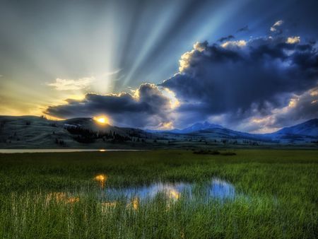 A soft summer night in the marsh - night, marsh, summer, soft