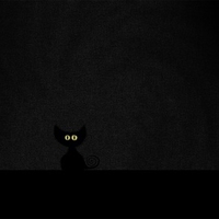 Cat in the dark