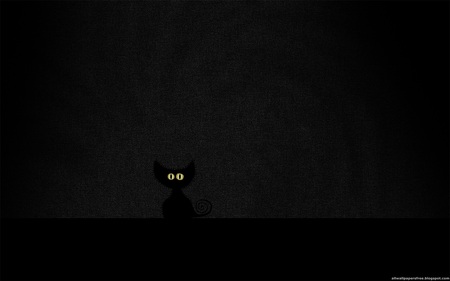 Cat in the dark - black, sit, eyes, eye, vlad, dark, cat